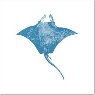 Stingray | Oceanography Sea Animal Marine Life Posters and Art